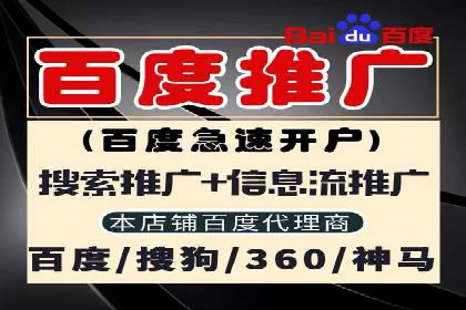 SEM主管如何运用AI技术提升广告效果——案例研究